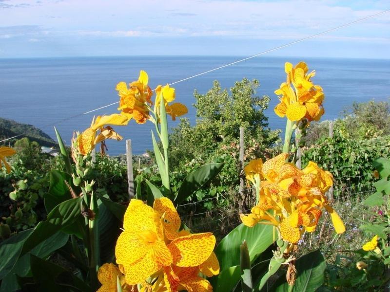 Case Vacanza Reggimonti Cinque Terre 博纳索拉 外观 照片