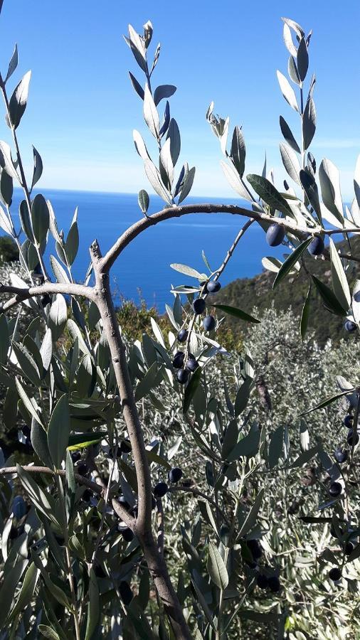 Case Vacanza Reggimonti Cinque Terre 博纳索拉 外观 照片