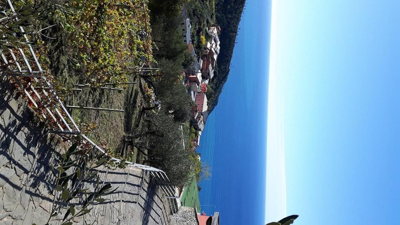 Case Vacanza Reggimonti Cinque Terre 博纳索拉 外观 照片